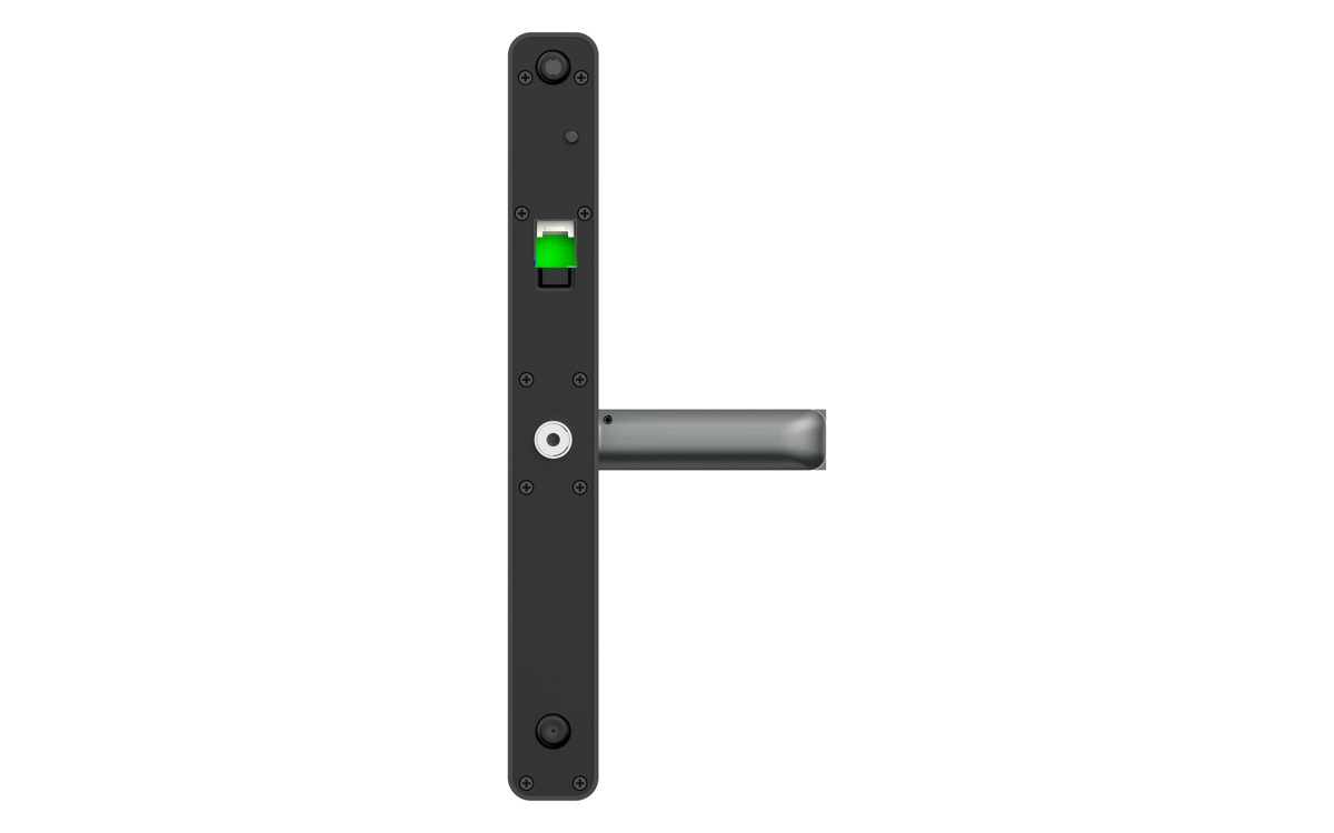 DL06